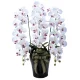 光触媒 人工観葉植物 造花 ロイヤル胡蝶蘭W/AB (高さ76cm) (310A200) ホワイト