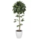 光触媒 人工観葉植物 造花 ベンジャミントピアリー 1.2 (高さ120cm) (372B180) 120cm