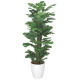 光触媒 人工観葉植物 造花 スプリット 1.2 (高さ120cm) (374K220)