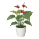 光触媒 人工観葉植物 造花 フレッシュアンスリューム (高さ40cm) (389A35) 40cm