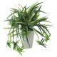光触媒 人工観葉植物 造花 ドラセナ丸ポット (高さ28cm) (439A60) 28cm(丸ポット)