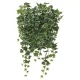 光触媒 人工観葉植物 造花 壁面緑化斑入りアイビー (高さ65cm) (441C70) 班入りアイビー