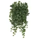 光触媒 人工観葉植物 造花 壁面緑化アイビー (高さ65cm) (442C70) アイビー