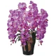 光触媒 人工観葉植物 造花 ロイヤル胡蝶蘭5本立L (高さ76cm) (446A300) パープル
