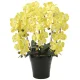 光触媒 人工観葉植物 造花 クイーン胡蝶蘭5本立Y (高さ74cm) (448A150) イエロー