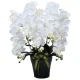 光触媒 人工観葉植物 造花 ロイヤル胡蝶蘭5本立W (高さ76cm) (532A300) ホワイト