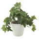 光触媒 人工観葉植物 造花 フレッシュアイビーS (高さ25cm) (640A35) 25cm