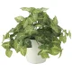光触媒 人工観葉植物 造花 フレッシュカラージューム (高さ30cm) (643A50) 30cm