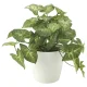 光触媒 人工観葉植物 造花 フレッシュカラージュームS (高さ25cm) (644A35) 25cm