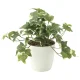 光触媒 人工観葉植物 造花 フレッシュ斑入りアイビーS (高さ25cm) (646A35) 25cm