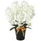 光触媒 人工観葉植物 造花 プレミアム胡蝶蘭5本立W (高さ75cm) (651K200) ホワイト