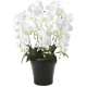 光触媒 人工観葉植物 造花 クイーン胡蝶蘭5本立W (高さ74cm) (654A150) ホワイト
