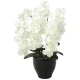 光触媒 人工観葉植物 造花 プレミアム胡蝶蘭W (高さ68cm) (659K135) ホワイト