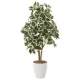 光触媒 人工観葉植物 造花 斑入りシェフレラ90 (高さ90cm) (733K160) 90cm(班)