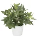 光触媒 人工観葉植物 造花 アイビ―S (高さ23cm) (833K30) アイビーS