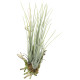 光触媒 人工観葉植物 造花 エア―プランツL(ポリ製) (高さ29cm) (867K20)