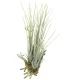 光触媒 人工観葉植物 造花 エア―プランツL(ポリ製) (高さ29cm) (867K20) 29cm