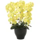 光触媒 人工観葉植物 造花 胡蝶蘭セリースY (高さ66cm) (917K120) イエロー