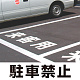 道路表示シート 「駐車禁止」 白ゴム 300角 (835-019W)