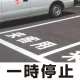 道路表示シート 「一時停止」 白ゴム 300角 (835-021W) 一時停止 300角 白