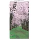 【2026年春】タペストリー 桜新緑 (No181-3) 桜新緑