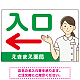 薬局向け入口案内サイン 白衣女性イラスト付きデザイン オリジナル プレート看板 グリーン(左矢印) W900×H600 アルミ複合板 (SP-SMD579AL-90x60A)