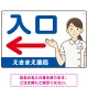 薬局向け入口案内サイン 白衣女性イラスト付きデザイン オリジナル プレート看板 ブルー(左矢印) W450×H300 エコユニボード (SP-SMD579CL-45x30U) ブルー(左矢印) W450×H300 エコユニボード