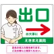 薬局向け出口案内サイン 白衣女性イラスト付きデザイン オリジナル プレート看板 グリーン(右矢印) W600×H450 エコユニボード (SP-SMD580AR-60x45U) グリーン(右矢印) W600×H450 エコユニボード