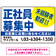 正社員募集中 未経験者歓迎 大きな文字デザイン 求人募集看板 オリジナル プレート看板 ブルー W450×H300 エコユニボード (SP-SMD642A-45x30U)