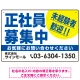 正社員募集中 未経験者歓迎 大きな文字デザイン 求人募集看板 オリジナル プレート看板 ブルー W450×H300 エコユニボード (SP-SMD642A-45x30U) ブルー W450×H300 エコユニボード