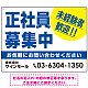 正社員募集中 未経験者歓迎 大きな文字デザイン 求人募集看板 オリジナル プレート看板 ブルー W600×H450 エコユニボード (SP-SMD642A-60x45U)