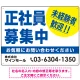 正社員募集中 未経験者歓迎 大きな文字デザイン 求人募集看板 オリジナル プレート看板 ブルー W600×H450 エコユニボード (SP-SMD642A-60x45U) ブルー W600×H450 エコユニボード