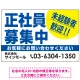 正社員募集中 未経験者歓迎 大きな文字デザイン 求人募集看板 オリジナル プレート看板 ブルー W900×H600 エコユニボード (SP-SMD642A-90x60U) ブルー W900×H600 エコユニボード