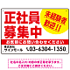 正社員募集中 未経験者歓迎 大きな文字デザイン 求人募集看板 オリジナル プレート看板 レッド W450×H300 エコユニボード (SP-SMD642B-45x30U)