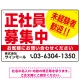正社員募集中 未経験者歓迎 大きな文字デザイン 求人募集看板 オリジナル プレート看板 レッド W450×H300 エコユニボード (SP-SMD642B-45x30U) レッド W450×H300 エコユニボード