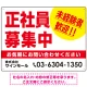 正社員募集中 未経験者歓迎 大きな文字デザイン 求人募集看板 オリジナル プレート看板 レッド W600×H450 エコユニボード (SP-SMD642B-60x45U) レッド W600×H450 エコユニボード