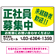 正社員募集中 未経験者歓迎 大きな文字デザイン 求人募集看板 オリジナル プレート看板 グリーン W450×H300 アルミ複合板 (SP-SMD642C-45x30A)