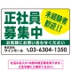 正社員募集中 未経験者歓迎 大きな文字デザイン 求人募集看板 オリジナル プレート看板 グリーン W450×H300 エコユニボード (SP-SMD642C-45x30U) グリーン W450×H300 エコユニボード