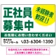 正社員募集中 未経験者歓迎 大きな文字デザイン 求人募集看板 オリジナル プレート看板 グリーン W600×H450 エコユニボード (SP-SMD642C-60x45U) グリーン W600×H450 エコユニボード