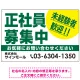 正社員募集中 未経験者歓迎 大きな文字デザイン 求人募集看板 オリジナル プレート看板 グリーン W900×H600 エコユニボード (SP-SMD642C-90x60U) グリーン W900×H600 エコユニボード