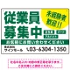 従業員募集中 未経験者歓迎 大きな文字デザイン 求人募集看板 オリジナル プレート看板 グリーン W450×H300 エコユニボード (SP-SMD643C-45x30U) グリーン W450×H300 エコユニボード