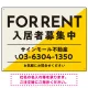 大胆な斜めデザインが特徴的なFOR RENT 入居者募集中 不動産向けデザインプレート看板 イエロー W600×H450 エコユニボード(SP-SMD729A-60x45U) イエロー W600×H450 エコユニボード