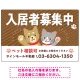 可愛らしい犬猫イラストで入居者募集中をアピールできる不動産向けプレート看板 ブラウン W900×H600 エコユニボード(SP-SMD738A-90x60U) ブラウン W900×H600 エコユニボード