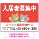 可愛らしい犬猫イラストで入居者募集中をアピールできる不動産向けプレート看板 レッド W600×H450 エコユニボード(SP-SMD738B-60x45U) レッド W600×H450 エコユニボード