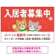 可愛らしい犬猫イラストで入居者募集中をアピールできる不動産向けプレート看板 レッド W900×H600 エコユニボード(SP-SMD738B-90x60U) レッド W900×H600 エコユニボード