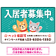 可愛らしい犬猫イラストで入居者募集中をアピールできる不動産向けプレート看板 グリーン W450×H300 エコユニボード(SP-SMD738C-45x30U) グリーン W450×H300 エコユニボード