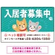 可愛らしい犬猫イラストで入居者募集中をアピールできる不動産向けプレート看板 グリーン W450×H300 エコユニボード(SP-SMD738C-45x30U) グリーン W450×H300 エコユニボード