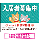 可愛らしい犬猫イラストで入居者募集中をアピールできる不動産向けプレート看板 グリーン W600×H450 エコユニボード(SP-SMD738C-60x45U) グリーン W600×H450 エコユニボード