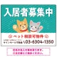 可愛らしい犬猫イラストで入居者募集中をアピールできる不動産向けプレート看板 グリーン W600×H450 エコユニボード(SP-SMD738C-60x45U) グリーン W600×H450 エコユニボード