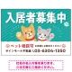 可愛らしい犬猫イラストで入居者募集中をアピールできる不動産向けプレート看板 グリーン W900×H600 エコユニボード(SP-SMD738C-90x60U) グリーン W900×H600 エコユニボード